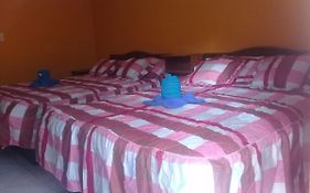 Hotel Luciernaga 2*